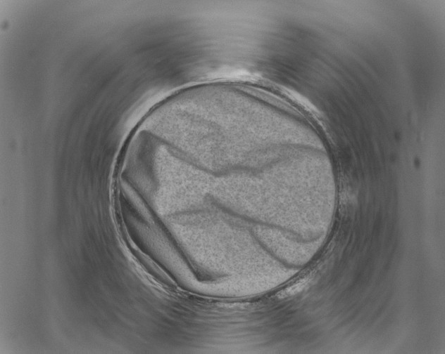 X0000061151423200512161544