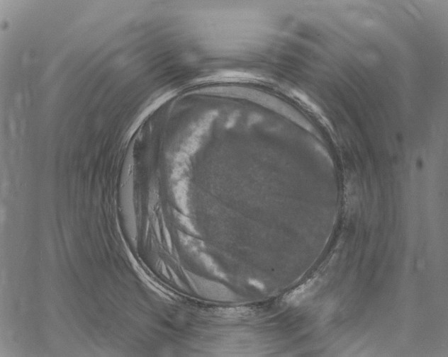 X0000061151425200512161544