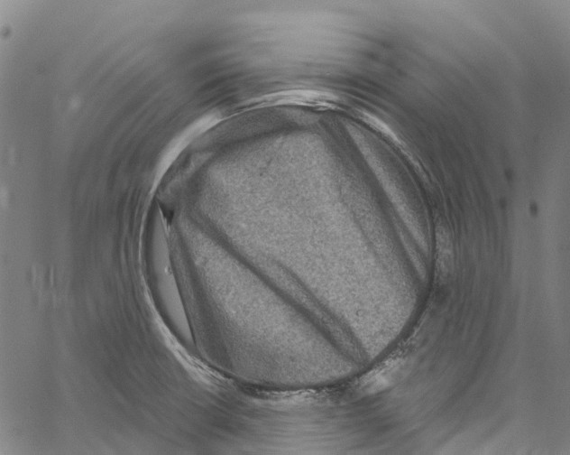 X0000061151426200512161544