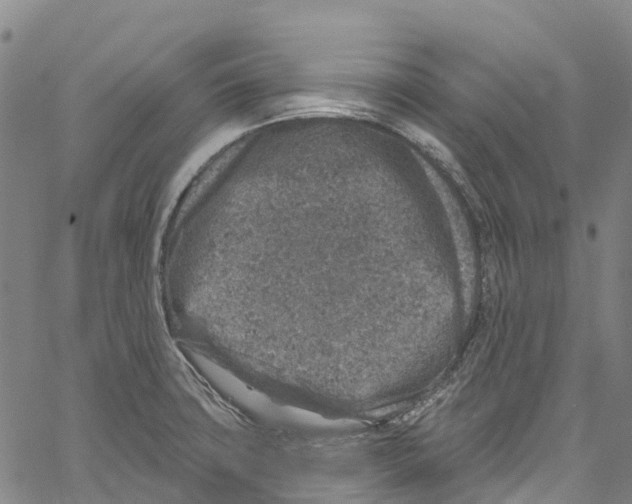 X0000061151427200512161544