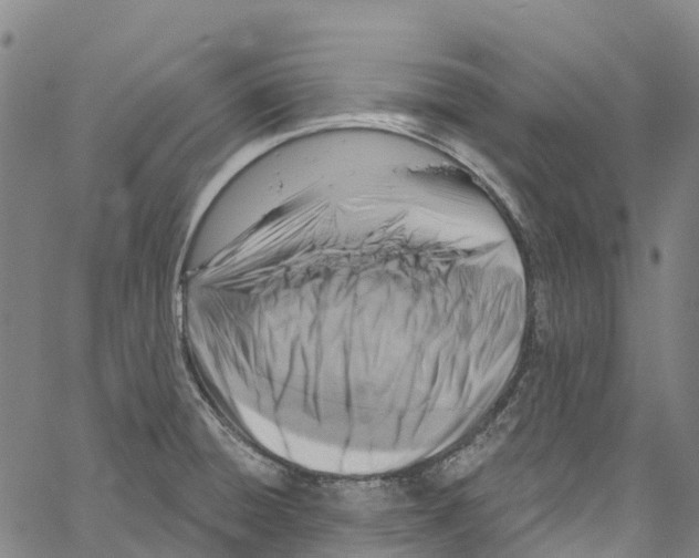 X0000061151428200512161544