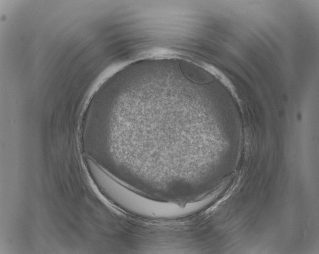 X0000061151429200512161544