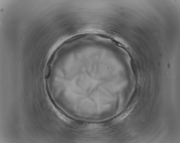 X0000061151430200512161544