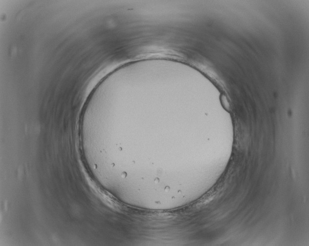 X0000061151431200512161544