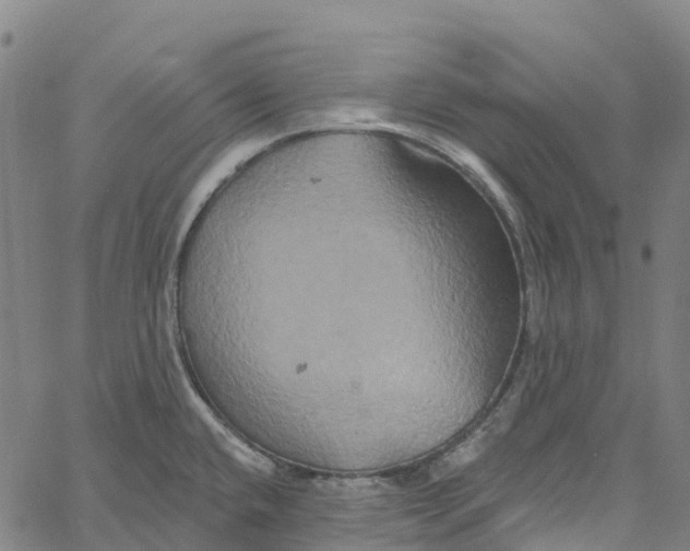 X0000061151432200512161544