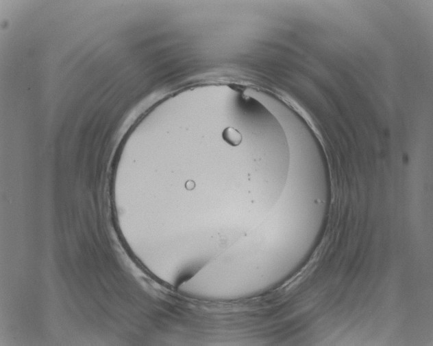 X0000061151434200512161544