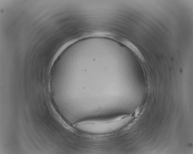 X0000061151436200512161544