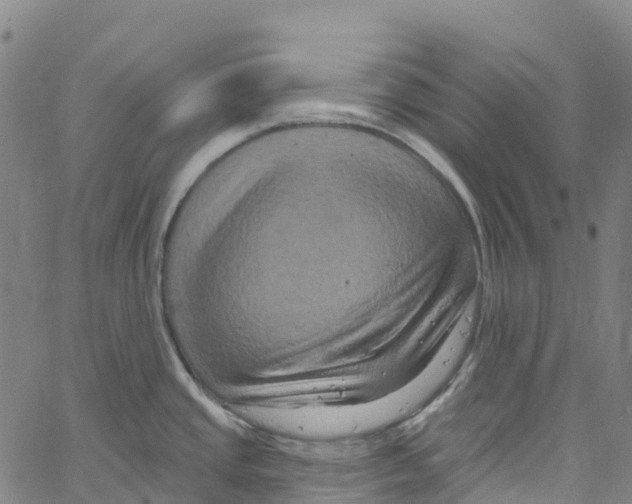 X0000061151437200512161544