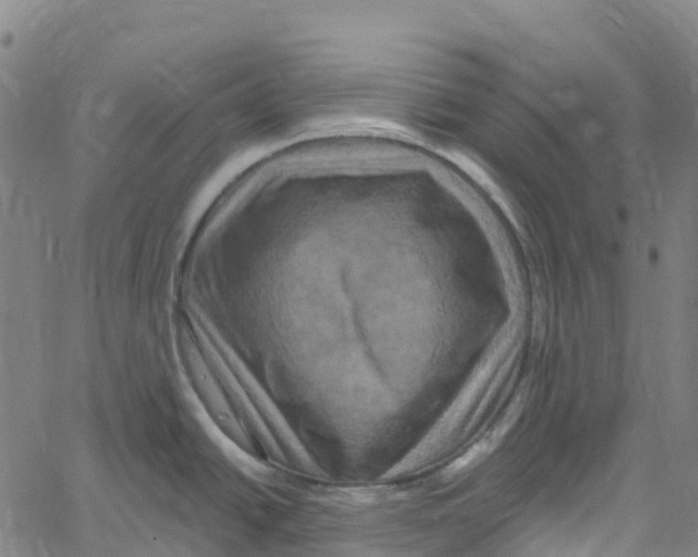 X0000061151438200512161544