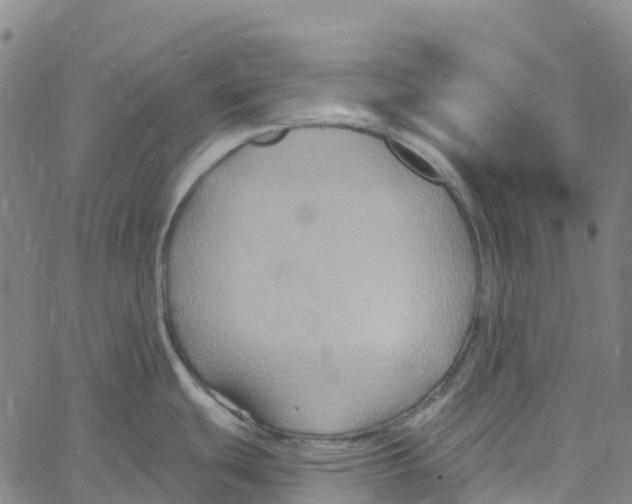 X0000061151439200512161544