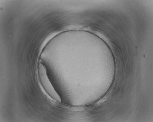 X0000061151440200512161544