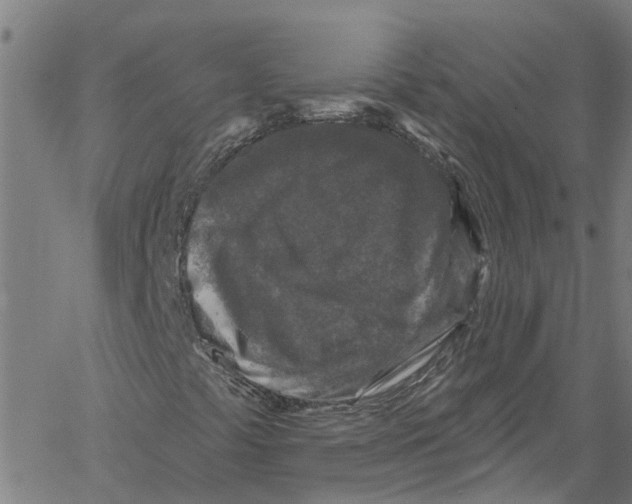 X0000061151441200512161543