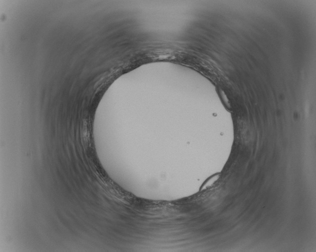 X0000061151442200512161543