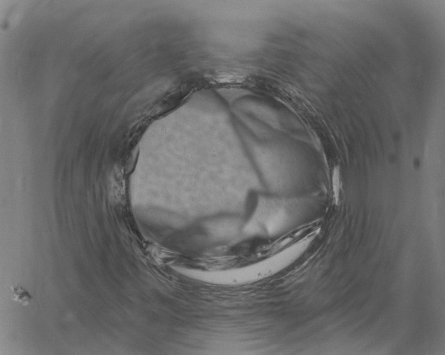 X0000061151443200512161543