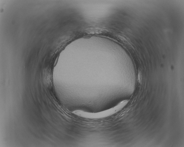 X0000061151444200512161543