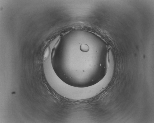 X0000061151445200512161543