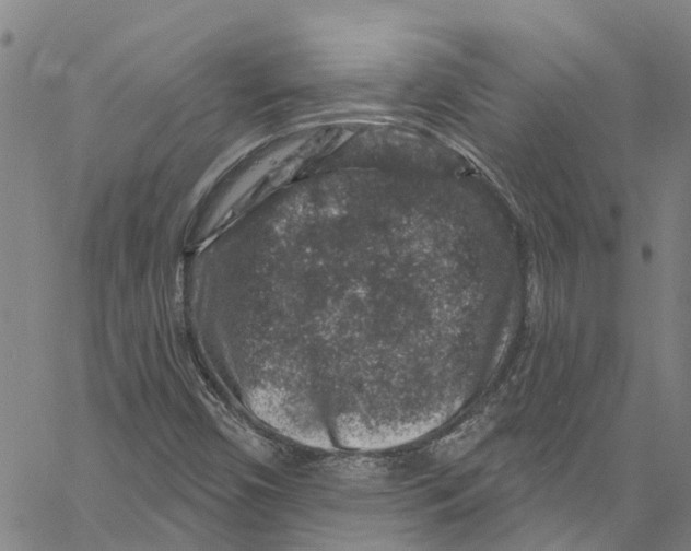 X0000061151450200512161543