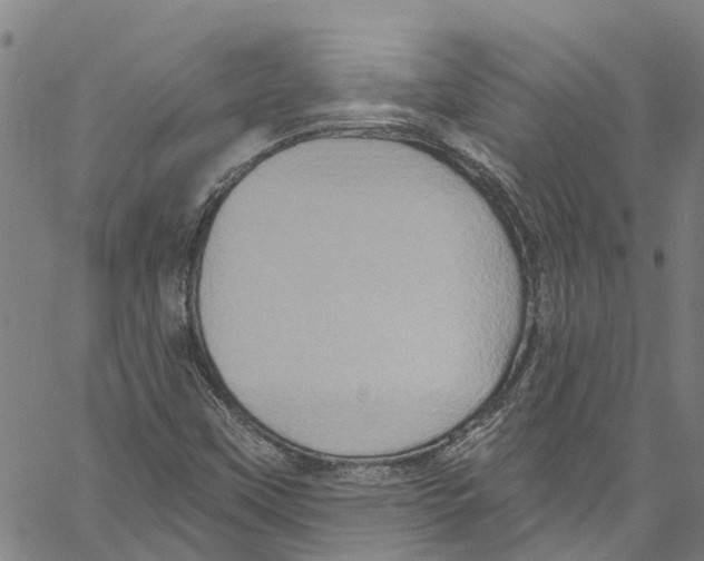 X0000061151451200512161543