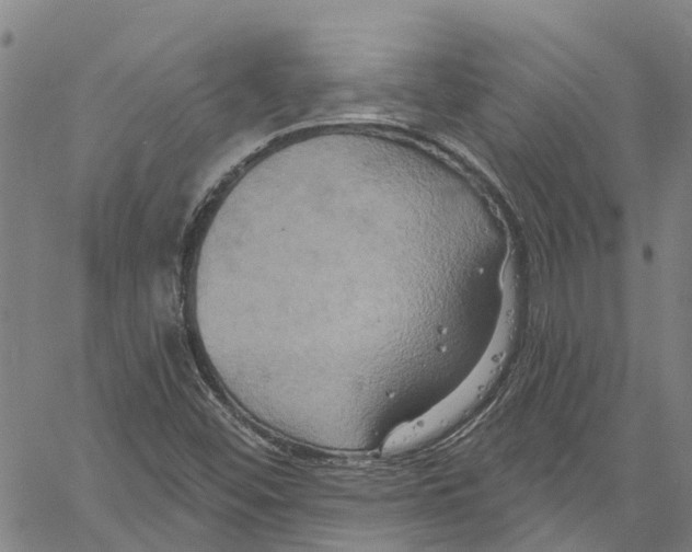 X0000061151452200512161543