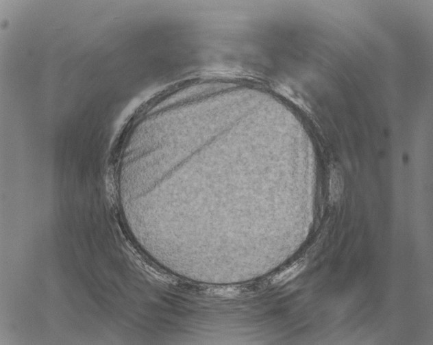 X0000061151454200512161543