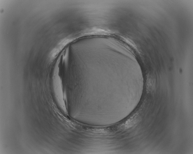 X0000061151455200512161543