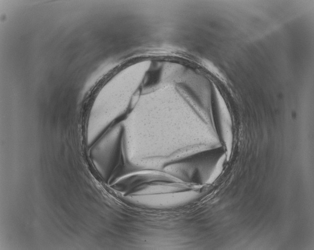 X0000061151456200512161543