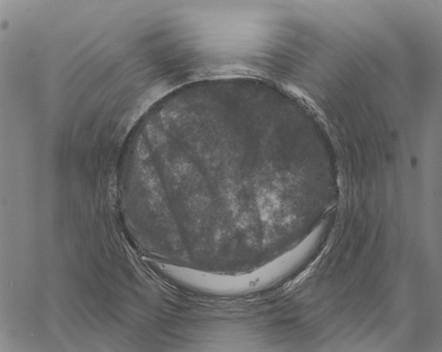 X0000061151457200512161543