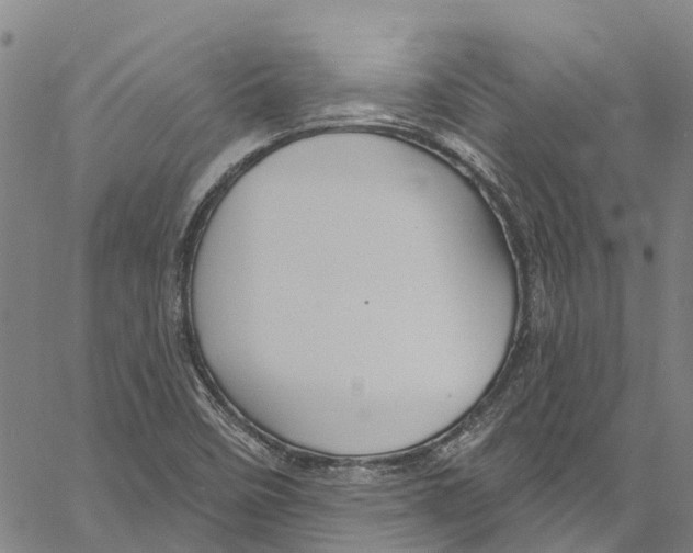 X0000061151458200512161543