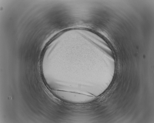 X0000061151460200512161543