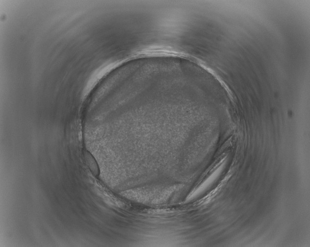 X0000061151461200512161543