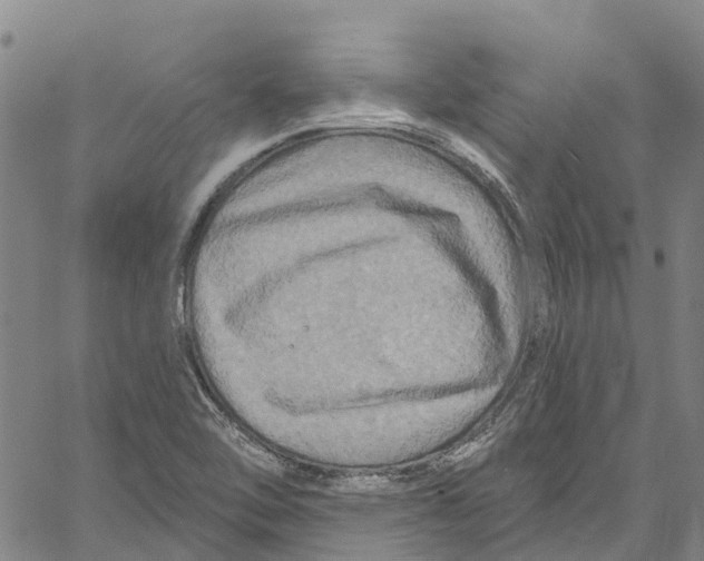 X0000061151462200512161543