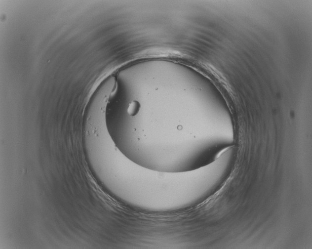 X0000061151465200512161543