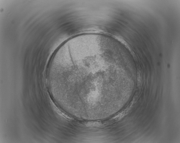 X0000061151466200512161543