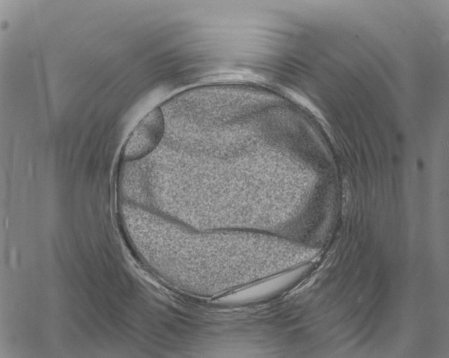 X0000061151467200512161543