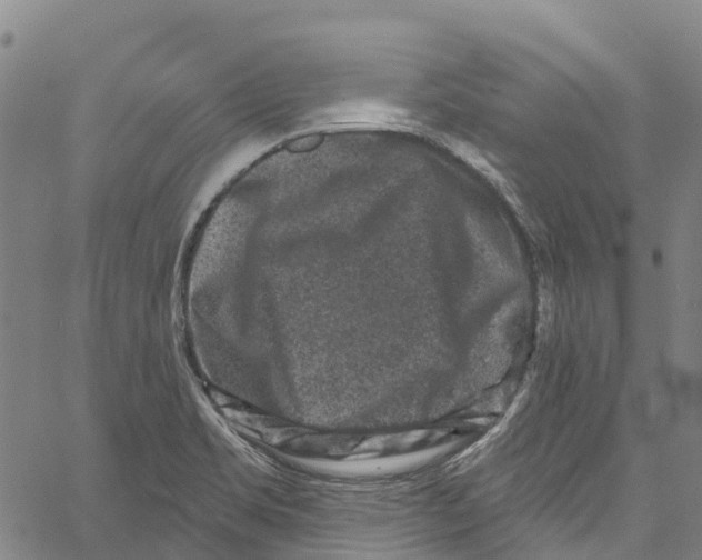 X0000061151469200512161543