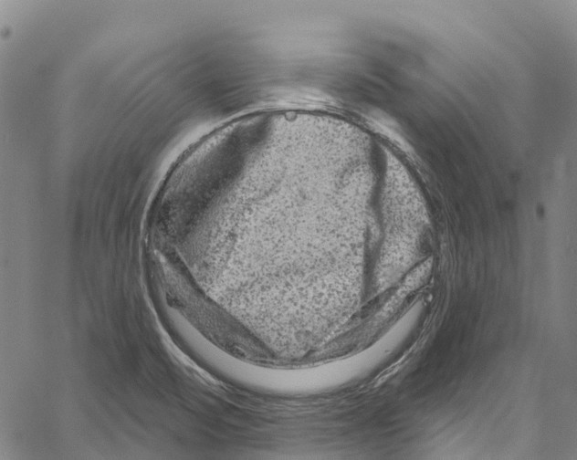 X0000061151471200512161543