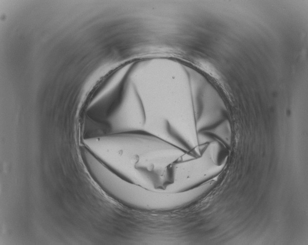 X0000061151472200512161543