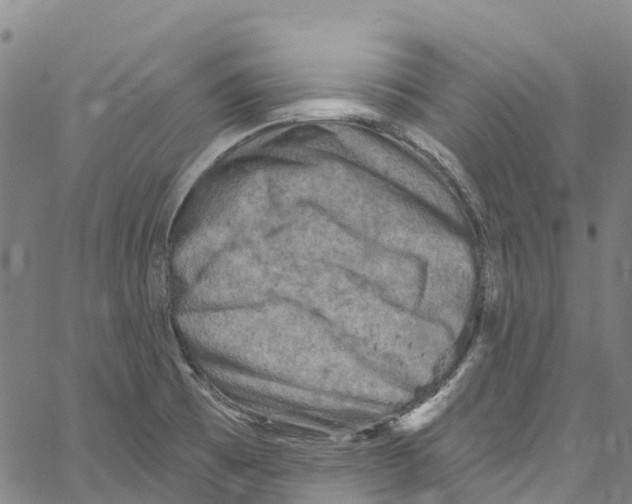 X0000061151473200512161543