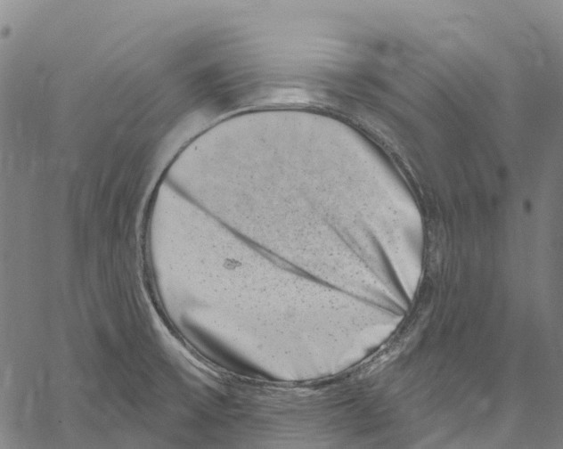 X0000061151475200512161543