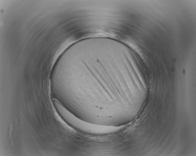 X0000061151476200512161543