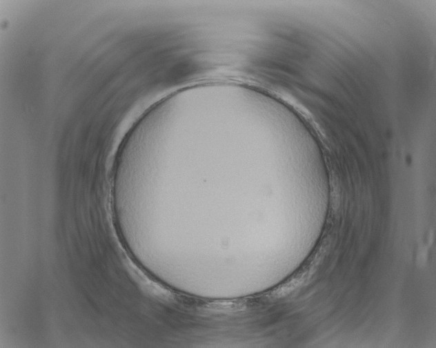 X0000061151478200512161543