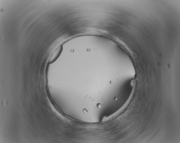 X0000061151479200512161543