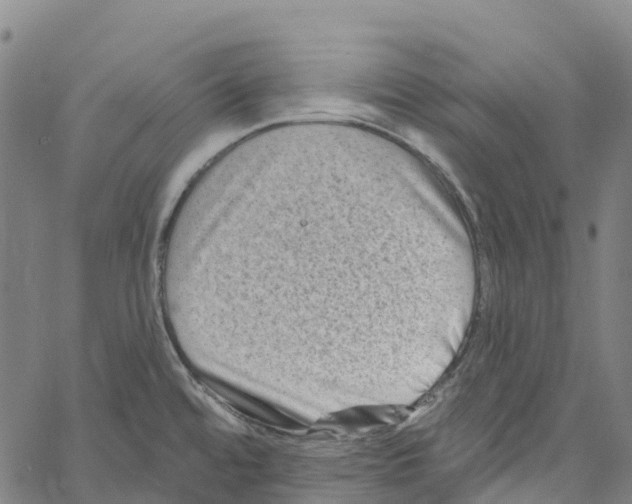 X0000061151480200512161543