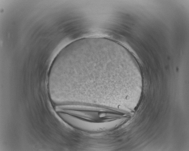 X0000061151484200512161543