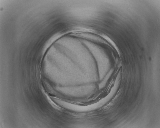 X0000061151485200512161543