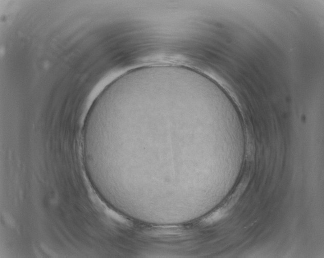 X0000061151486200512161543