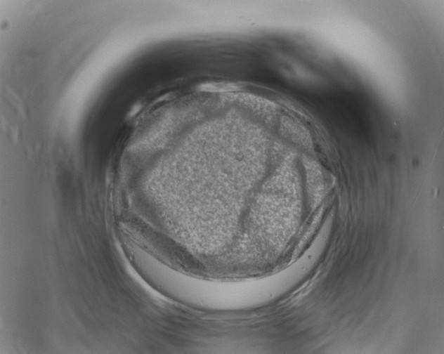 X0000061151487200512161543