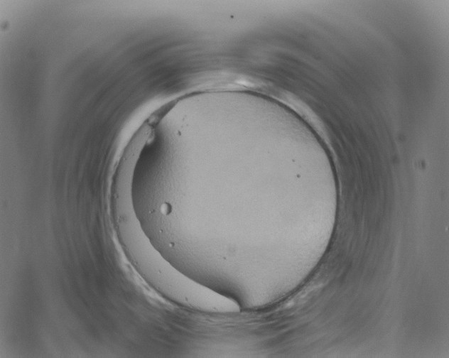 X0000061151488200512161543