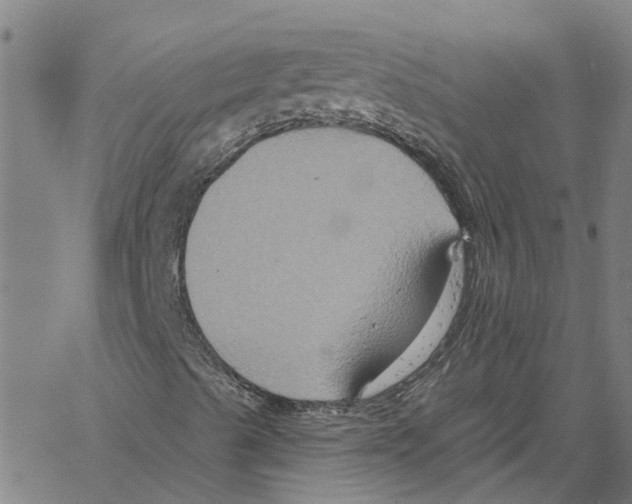 X0000061151489200512161542