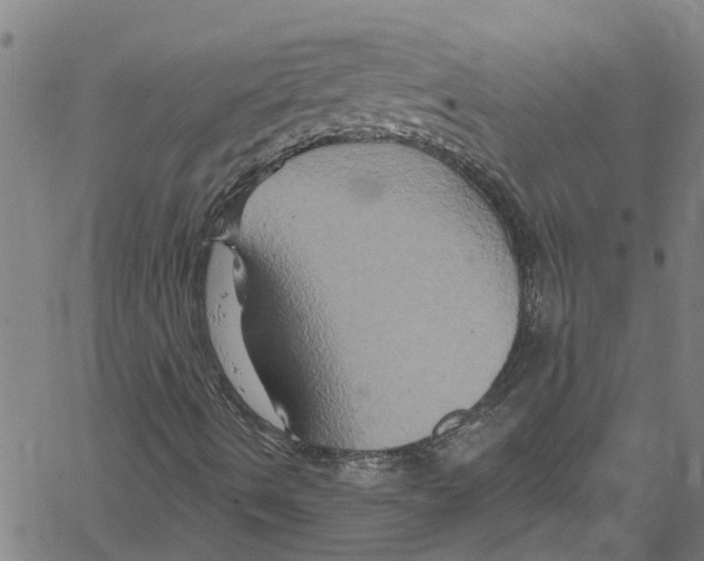 X0000061151490200512161542